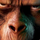 Illustration for article titled Fox Kills Caesar, Its Smart Reboot Of The Planet Of The Apes Franchise